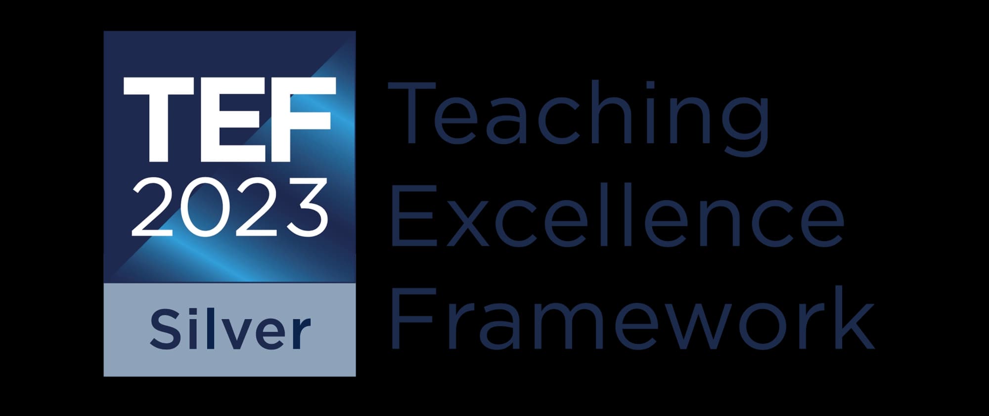 TEF 2023 Silver Teaching Excellence Framework